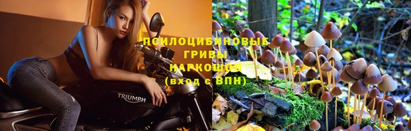 соль курить ск Алзамай